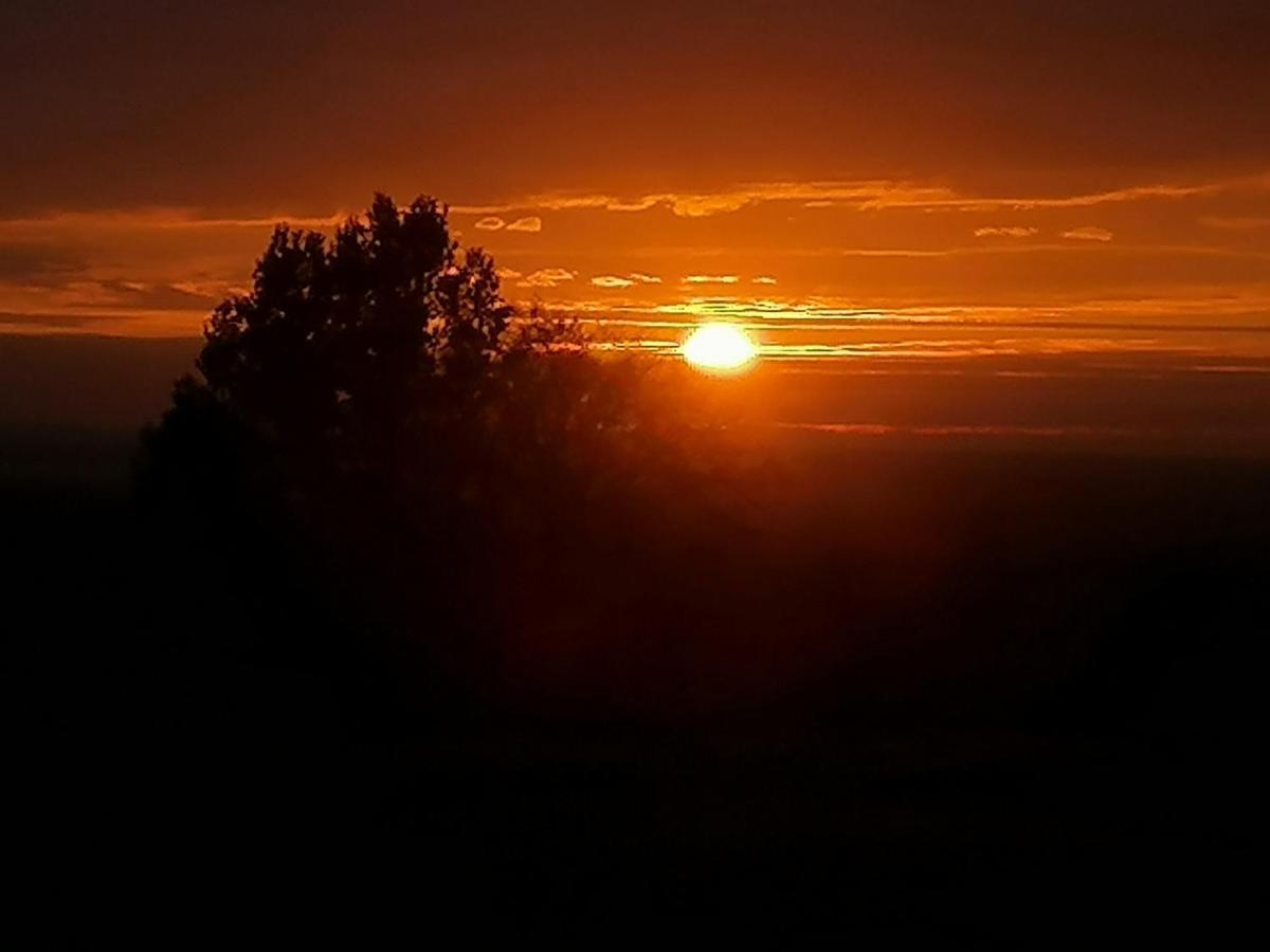 Gite de la Tuilière Clermont-d'Excideuil Esterno foto